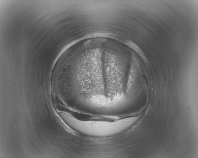 X0000061111436200512022114