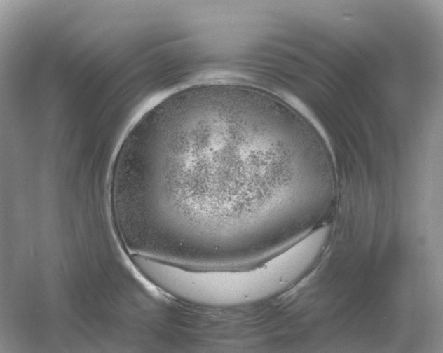 X0000061111437200512022114