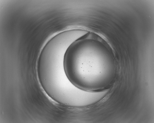 X0000061111438200512022114