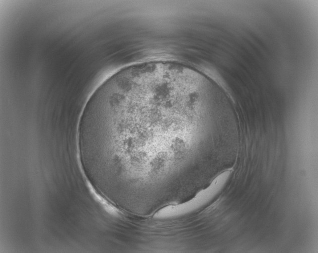 X0000061111439200512022114