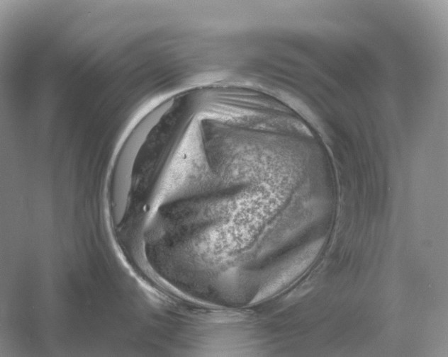 X0000061111440200512022114