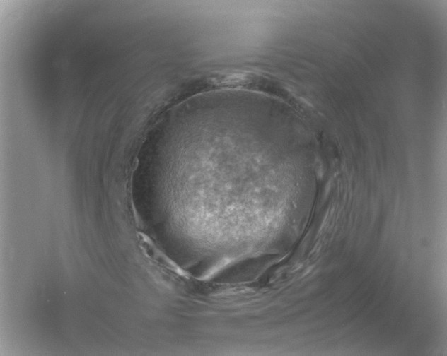 X0000061111441200512022113