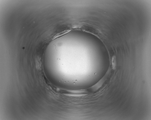 X0000061111443200512022113