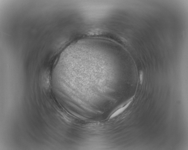 X0000061111444200512022113