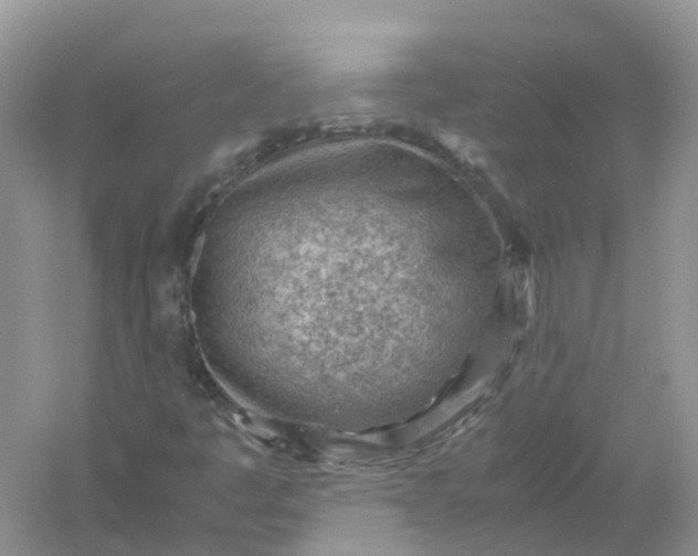 X0000061111445200512022113