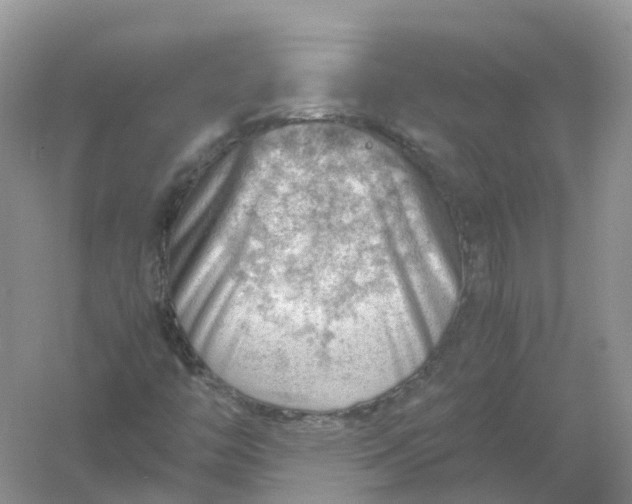 X0000061111446200512022113