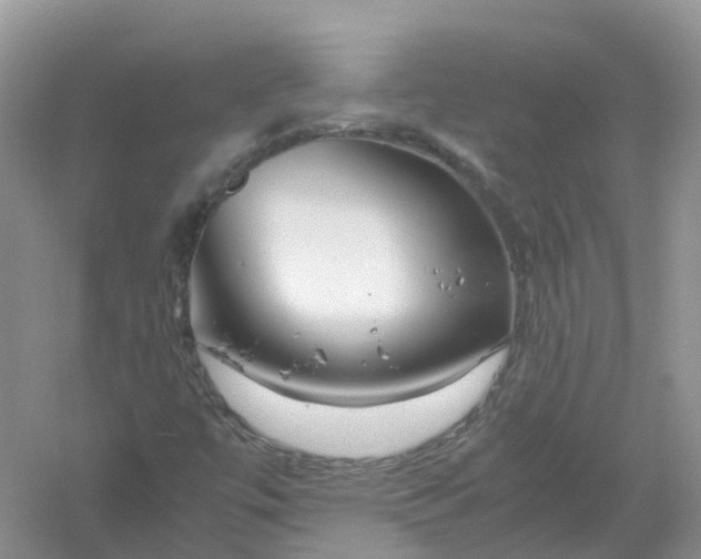 X0000061111447200512022113