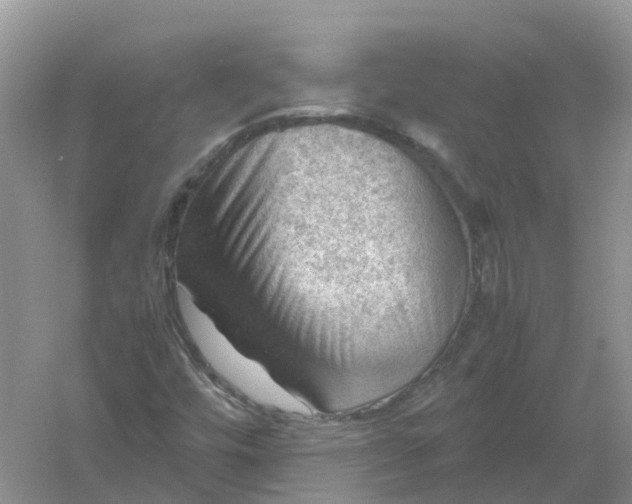 X0000061111448200512022113