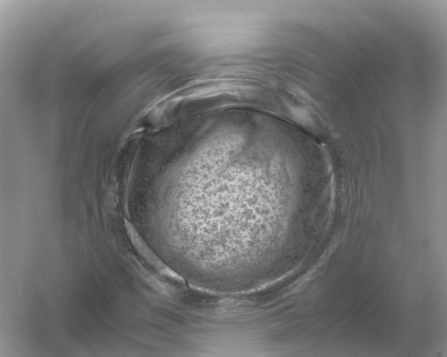 X0000061111449200512022113