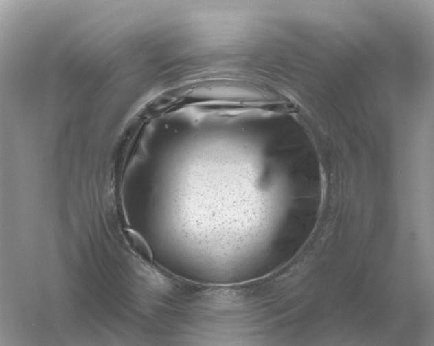 X0000061111450200512022113