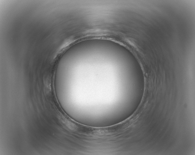 X0000061111451200512022113