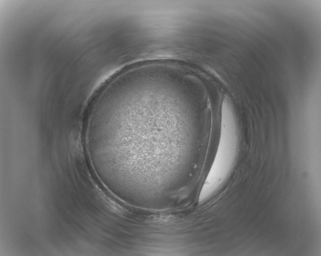 X0000061111452200512022113