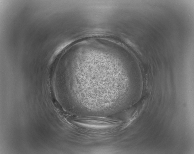 X0000061111453200512022113