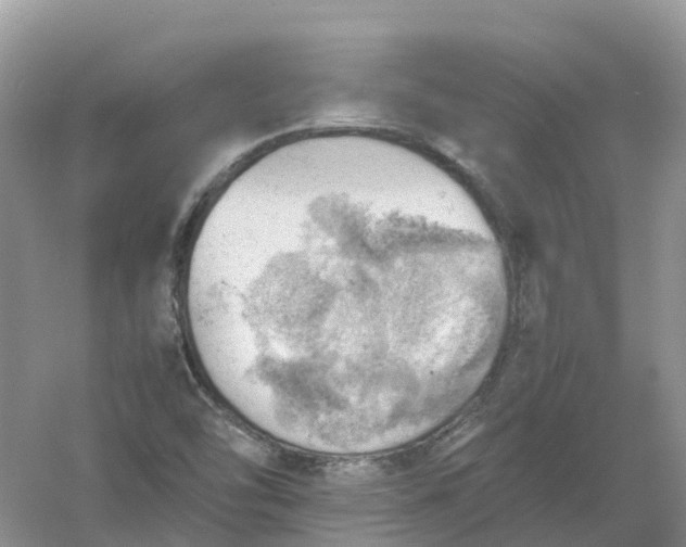 X0000061111454200512022113