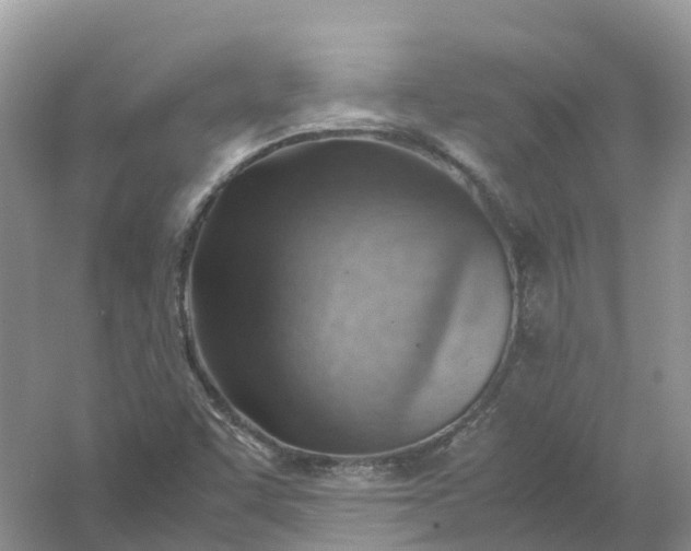 X0000061111455200512022113