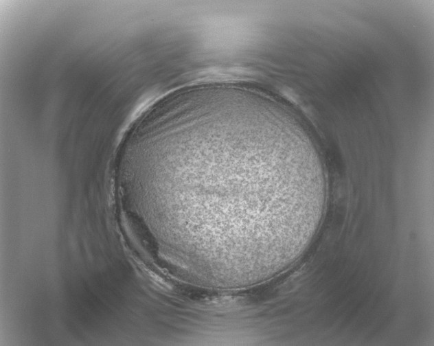 X0000061111459200512022112