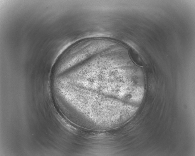 X0000061111460200512022112