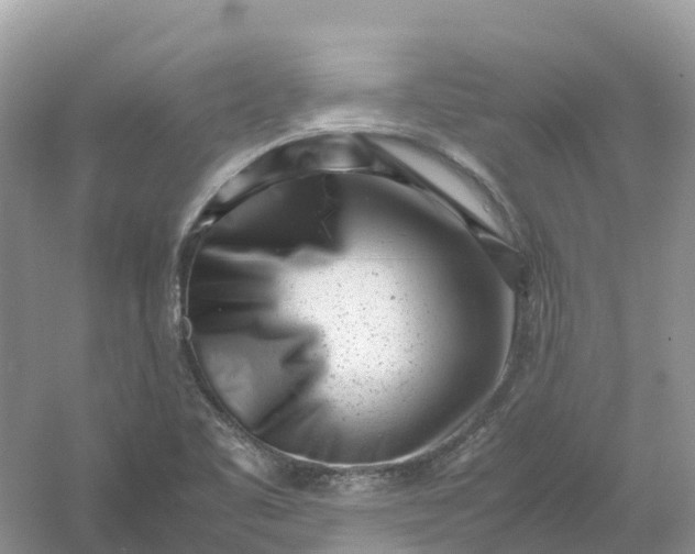 X0000061111461200512022112