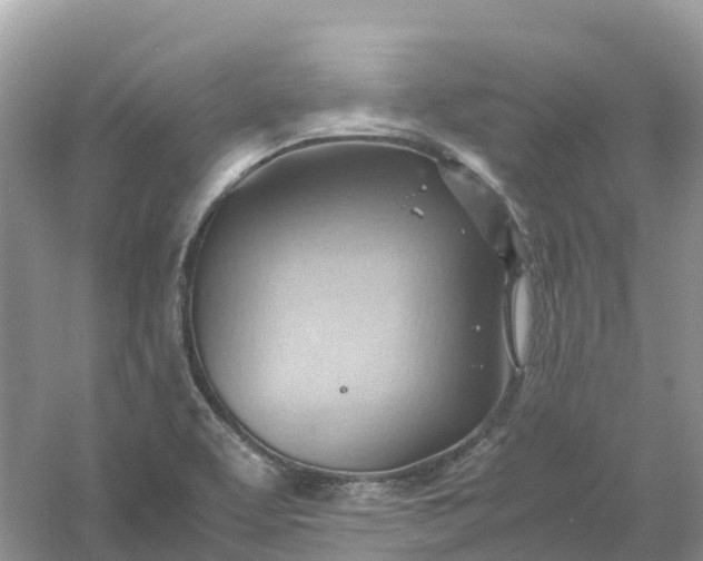 X0000061111463200512022112