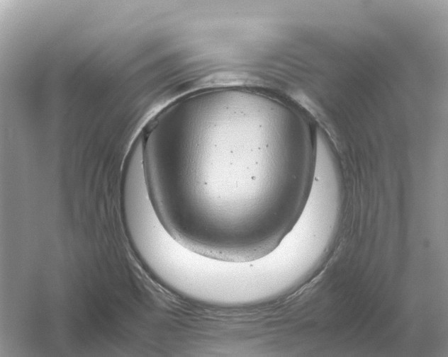 X0000061111465200512022112