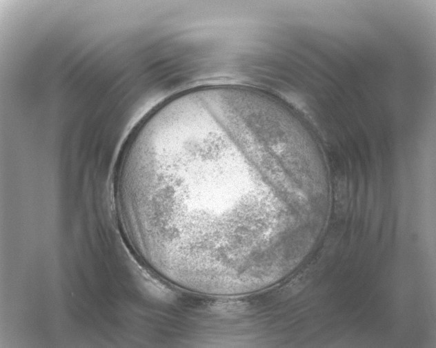 X0000061111466200512022112