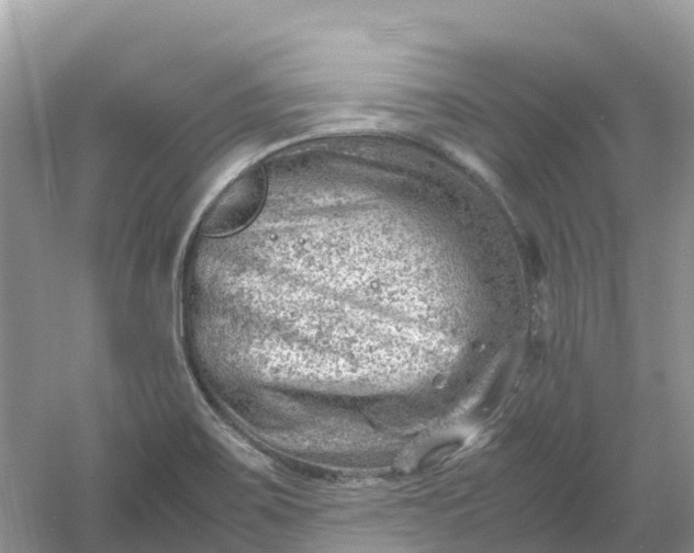 X0000061111467200512022112