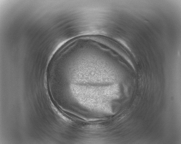 X0000061111468200512022112