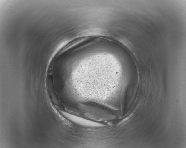 X0000061111469200512022112