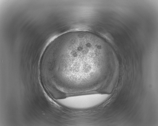 X0000061111471200512022112