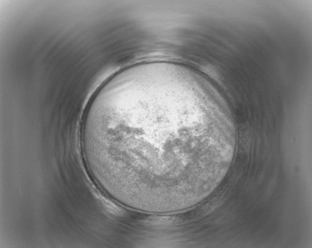 X0000061111474200512022112