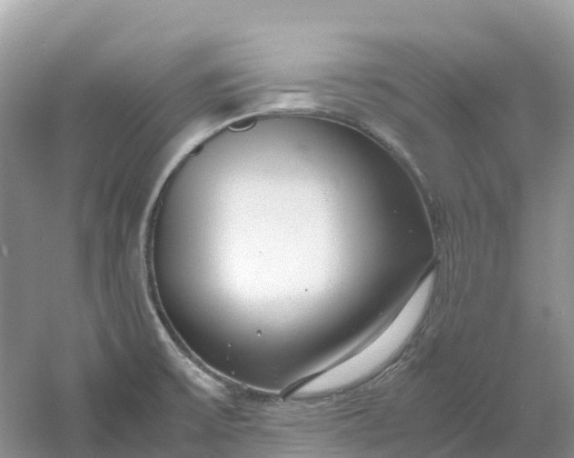 X0000061111475200512022112