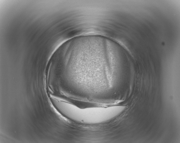 X0000061111476200512022112