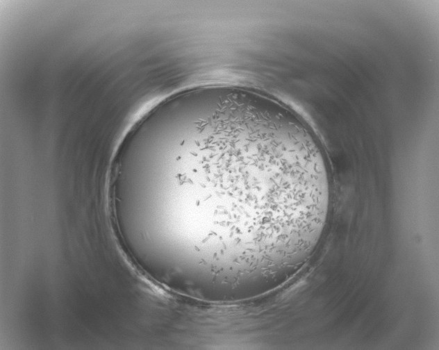 X0000061111477200512022112