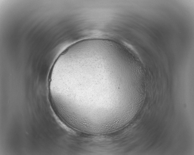 X0000061111479200512022112