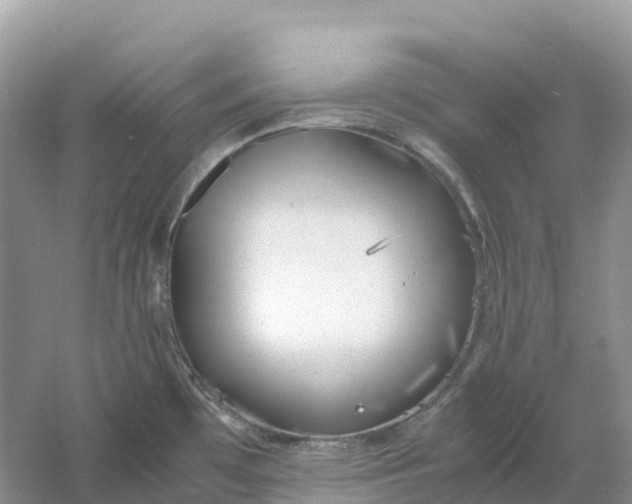 X0000061111481200512022112