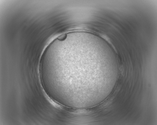 X0000061111482200512022112