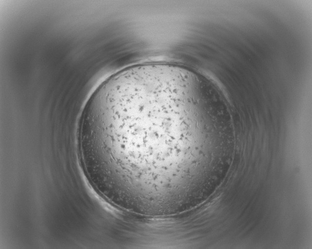 X0000061111483200512022112