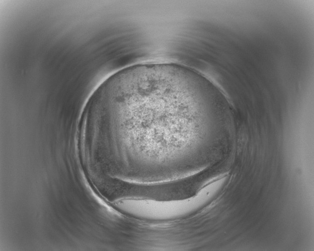 X0000061111484200512022112