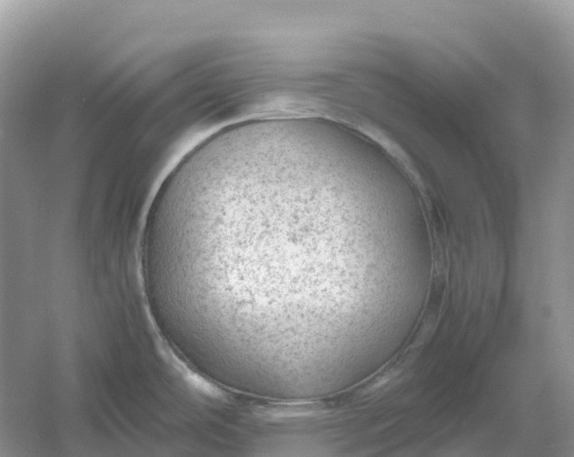 X0000061111486200512022112