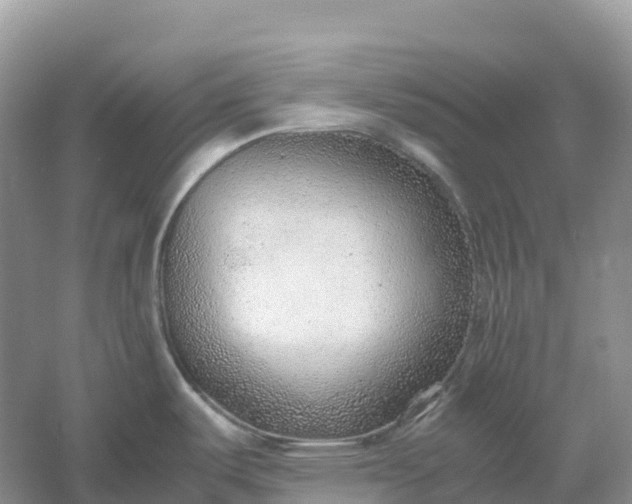 X0000061111487200512022112