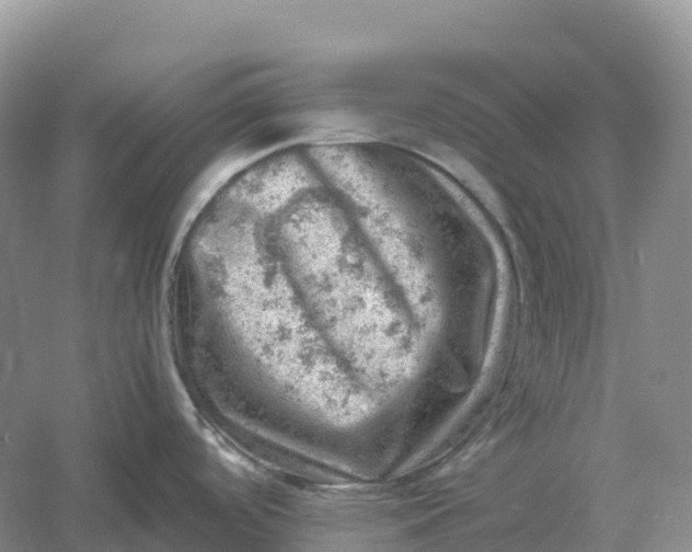 X0000061111488200512022112