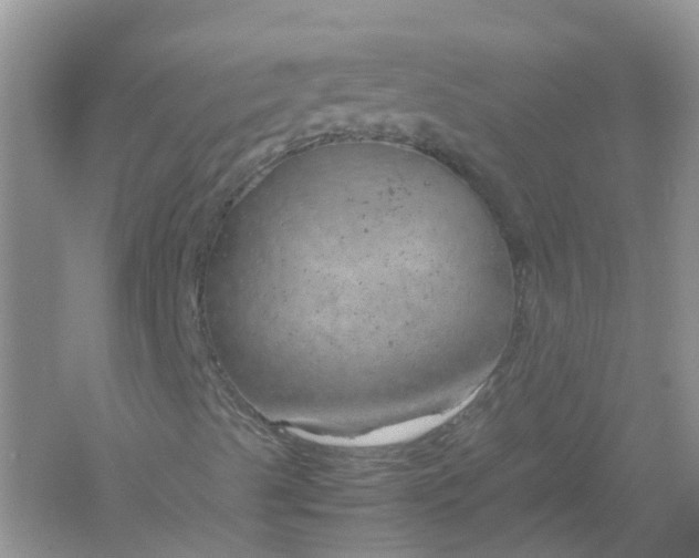 X0000061111489200512022111