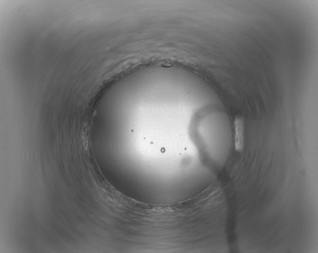 X0000061111491200512022111