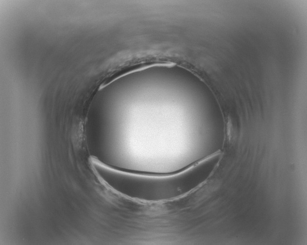 X0000061111492200512022111