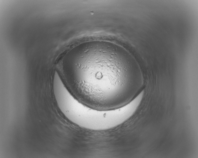 X0000061111493200512022111