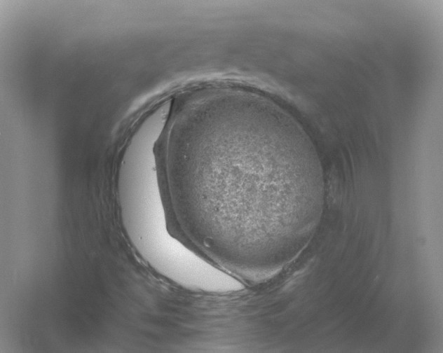 X0000061111494200512022111