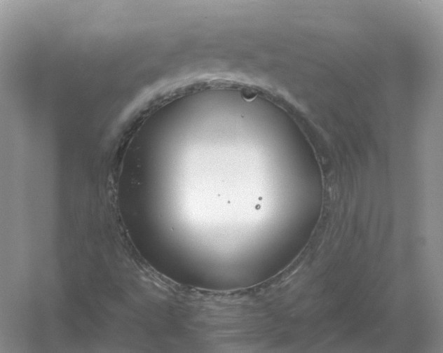 X0000061111495200512022111