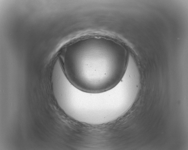 X0000061111496200512022111