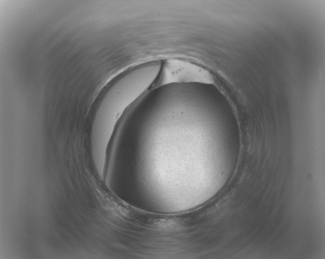 X0000061111497200512022111