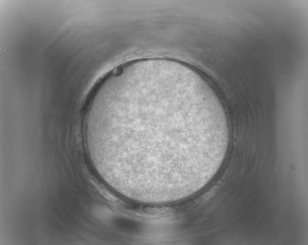 X0000061111498200512022111